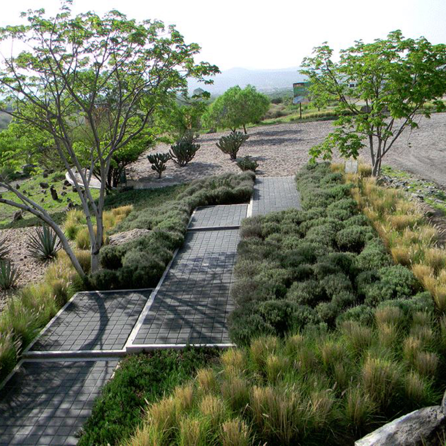 Where Do Landscape Architects Work Landscape Architects ? Professionals Who Design Where You Live, Work